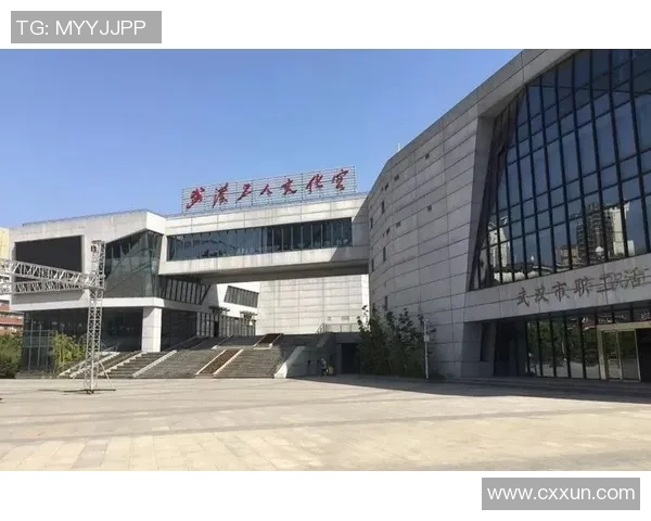 武汉排球队区域防守革新之路探索与实践分析